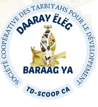 Logo Daaray ËLËG - Baraag ya